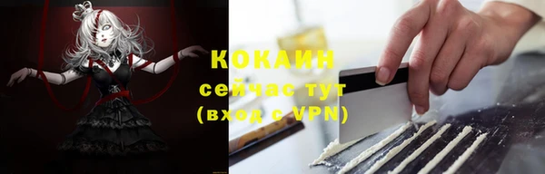 сатива Балахна