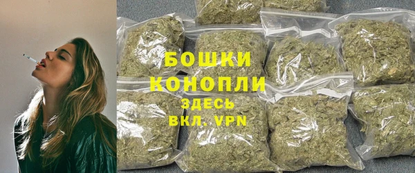 сатива Балахна