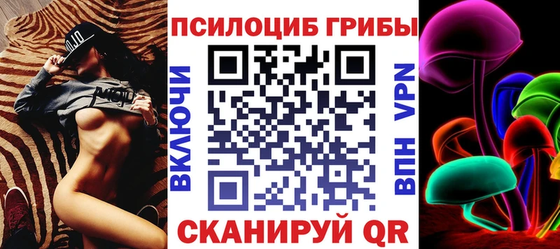 Псилоцибиновые грибы Psilocybe  MEGA ССЫЛКА  Салаир  закладка 
